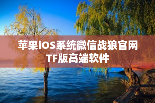 苹果iOS系统微信战狼官网TF版高端软件