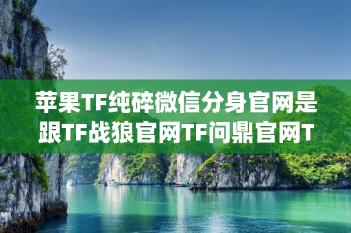 苹果TF纯碎微信分身官网是跟TF战狼官网TF问鼎官网TF微小白无logo官网龙宝同一款高端配置