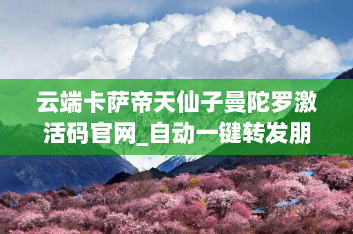 云端卡萨帝天仙子曼陀罗激活码官网_自动一键转发朋友圈软件_官方微信一键转发