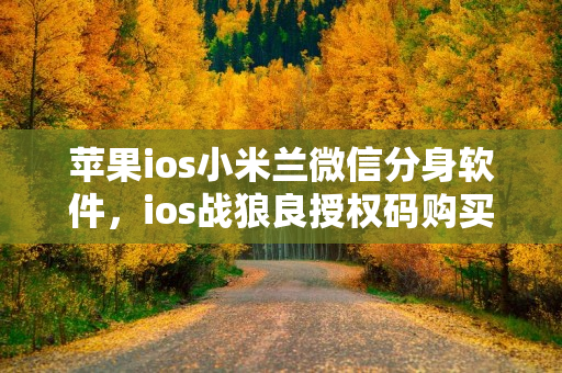 苹果ios小米兰微信分身软件，ios战狼良授权码购买商城，苹果ios小蜜蜂微信分身软件