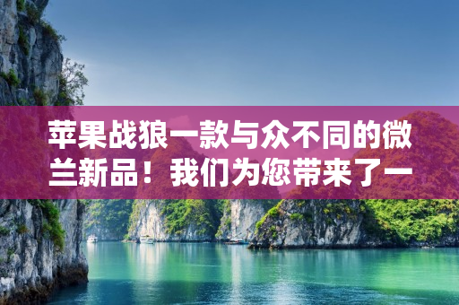 苹果战狼一款与众不同的微兰新品！我们为您带来了一种全新微信分身多开的使用体验