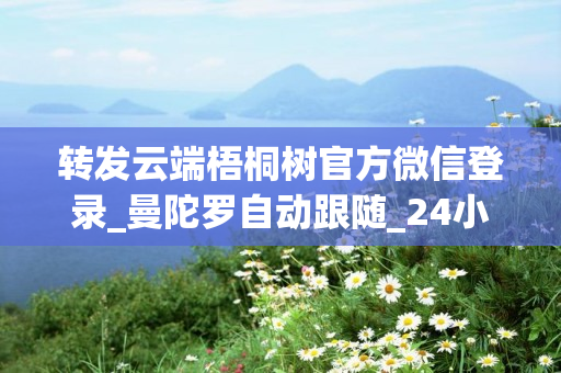 转发云端梧桐树官方微信登录_曼陀罗自动跟随_24小时在线抢红包_自动收款