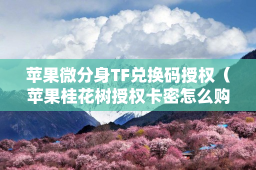 苹果微分身TF兑换码授权（苹果桂花树授权卡密怎么购买）