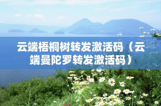 云端梧桐树转发激活码（云端曼陀罗转发激活码）