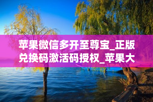 苹果微信多开至尊宝_正版兑换码激活码授权_苹果大白兔官网地址