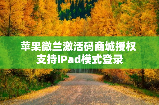 苹果微兰激活码商城授权 支持iPad模式登录