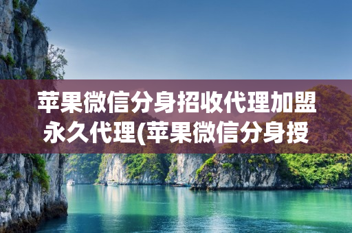 苹果微信分身招收代理加盟永久代理(苹果微信分身授权代码 )