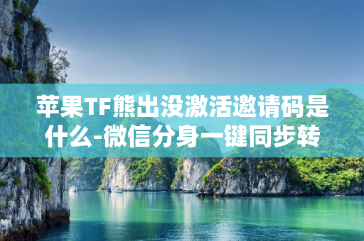 苹果TF熊出没激活邀请码是什么-微信分身一键同步转发朋友圈软件