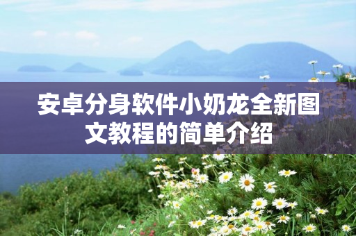 安卓分身软件小奶龙全新图文教程的简单介绍