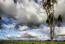 苹果独角兽TF到期了怎么办?苹果暖心哆开软件TF到期了怎么办?苹果TF上架过期了有什么影响?怎么才是正确的操作?