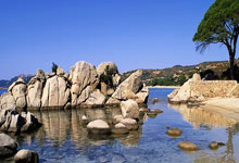 苹果独角兽TF到期了怎么办?苹果暖心哆开软件TF到期了怎么办?苹果TF上架过期了有什么影响?怎么才是正确的操作?